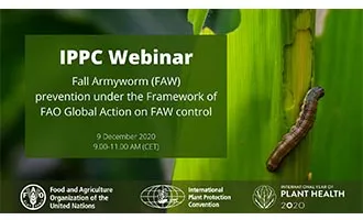 IPPC webinar: Fall Armyworm (FAW) prevention under the Framework of FAO Global Action on FAW control