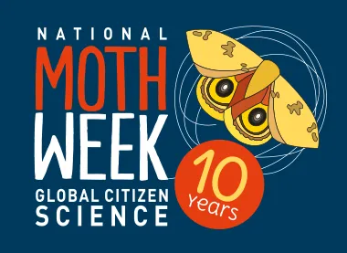 National Moth Week
