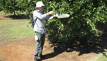 Citrus Field Triage Workshop
