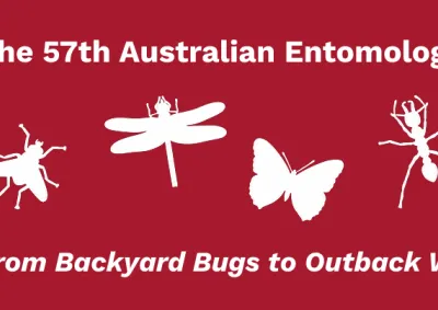 Australian Entomological Society Conference logo